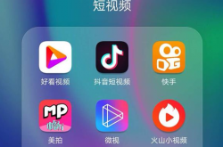 世界女排联赛-中国女排3-0法国 收获北京站第二胜